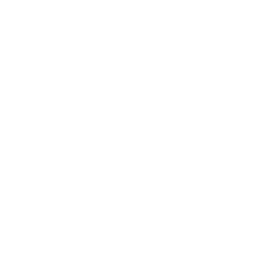 cygnus logo